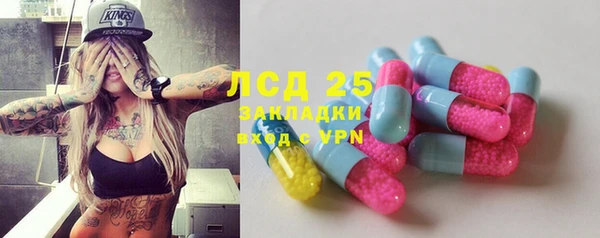 гидра Абаза