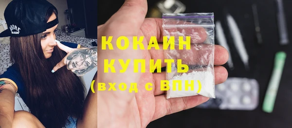 гидра Абаза