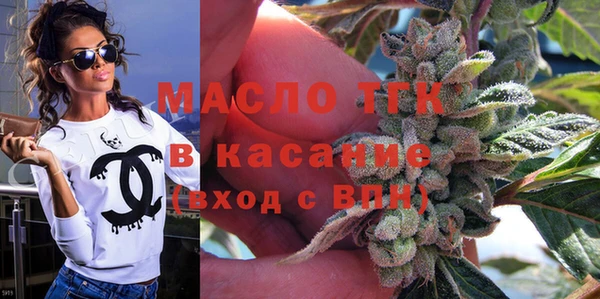 гидра Абаза