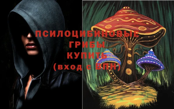 стаф Ростов