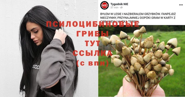 гидра Абаза